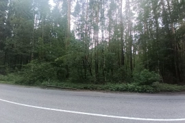 Коммерческая земля в Лесном