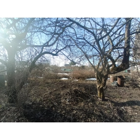 Участок в Пушкино, 4 сотки