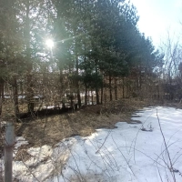 Участок в Пушкино Новая Деревня 